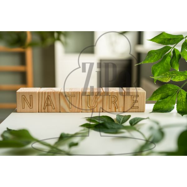 Wooden cubes - word NATURE