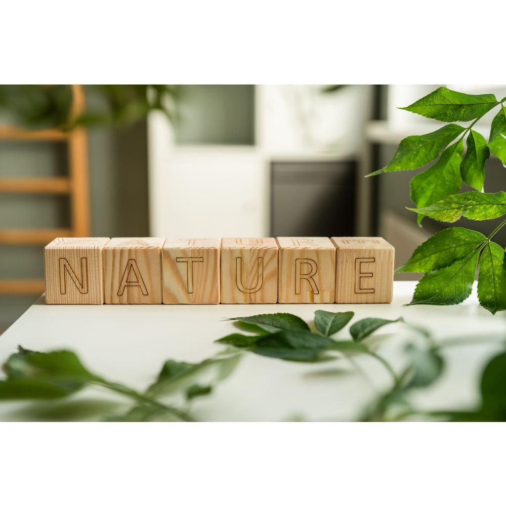 The word Nature, displayed with zipa.lv alphabet cubes. English alphabet cubes. Set of wooden blocks.