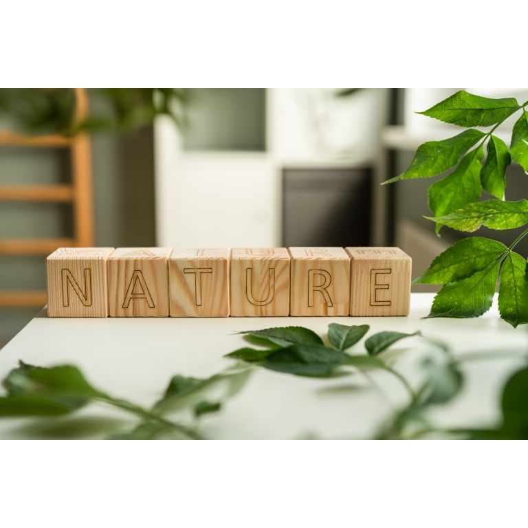 The word Nature, displayed with zippa.eu alphabet cubes. English alphabet cubes. Set of wooden blocks.